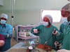 First Laparoscopic Surgeries Performed at the Bustamante Hospital for Children